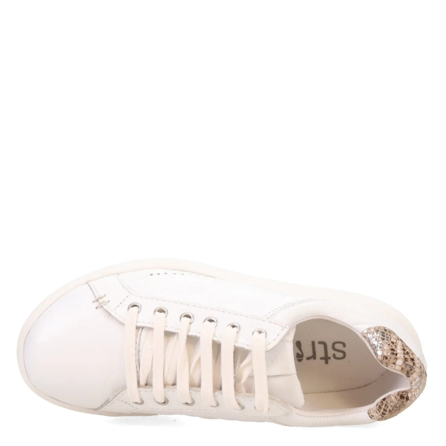 Women's , Dakota Sneaker|Strive Hot
