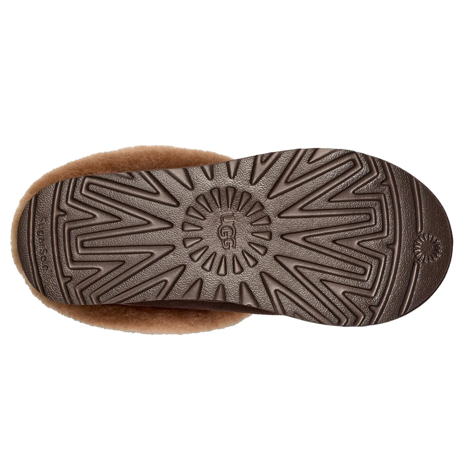 Women's , Tazzette Slipper|UGG Discount